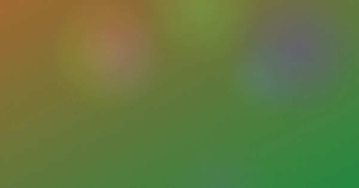 海绵宝宝在线观看怎么用？实测对比
